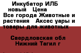 Инкубатор ИЛБ-0,5 новый › Цена ­ 35 000 - Все города Животные и растения » Аксесcуары и товары для животных   . Свердловская обл.,Нижний Тагил г.